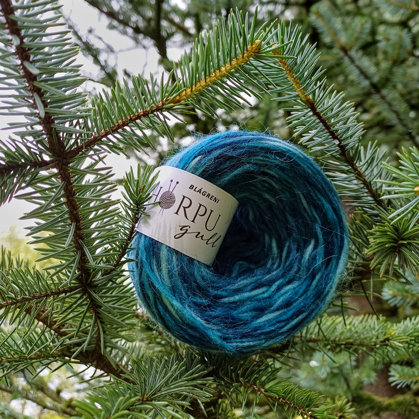 Hand-dyed Icelandic lopi yarn inspired by Engelmann spruce placed among spruce branches