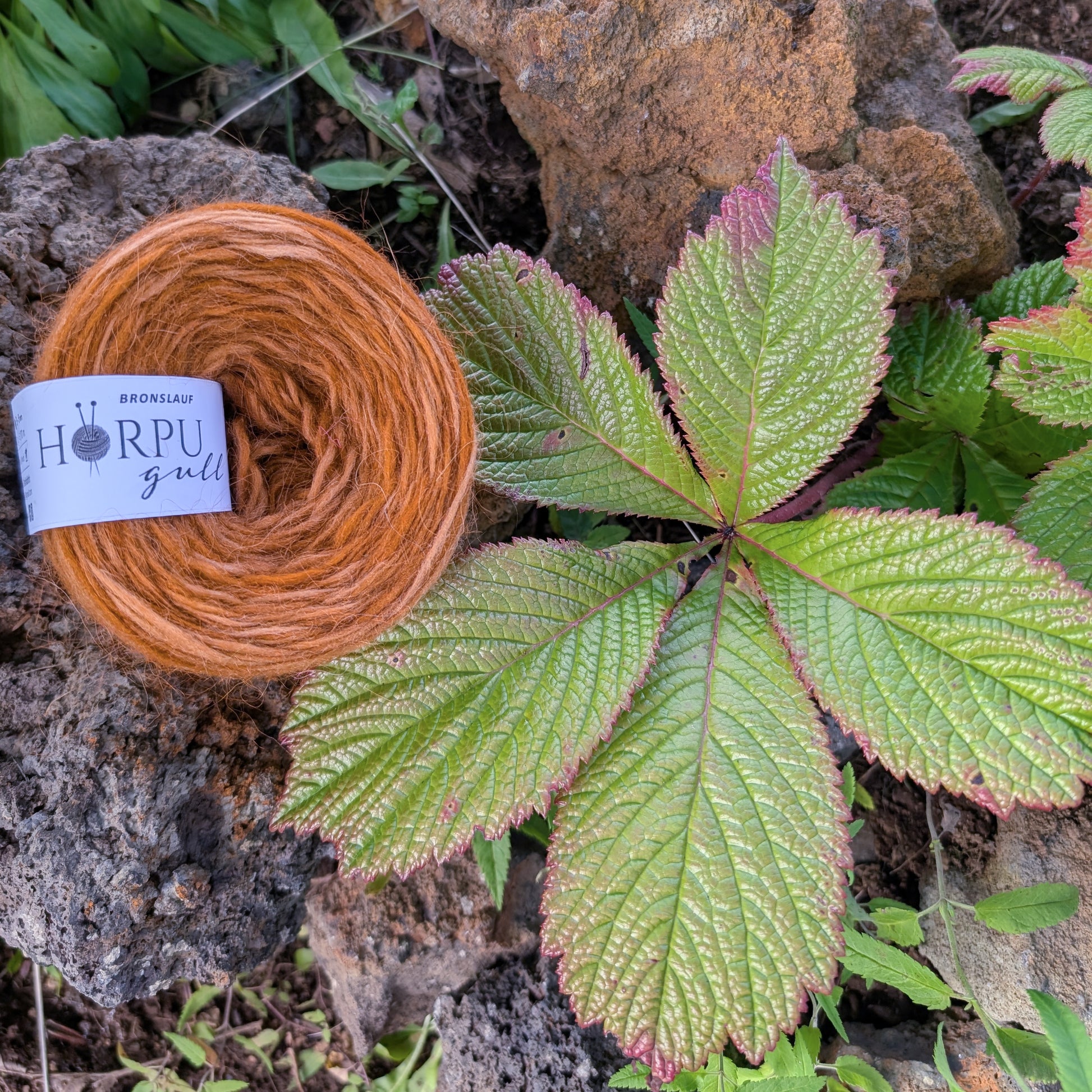 Hand-dyed Icelandic lopi yarn inspired by rodgersia shown with bronze-toned leaves