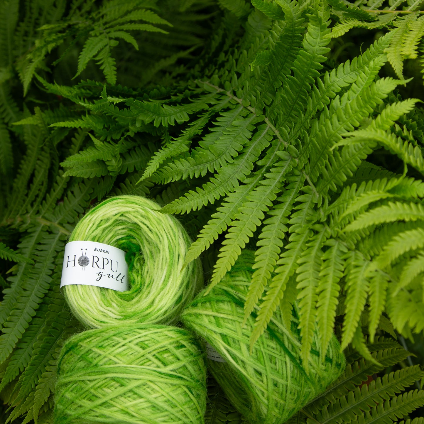 Hand-dyed green lopi yarn placed among fresh fern leaves in natural setting