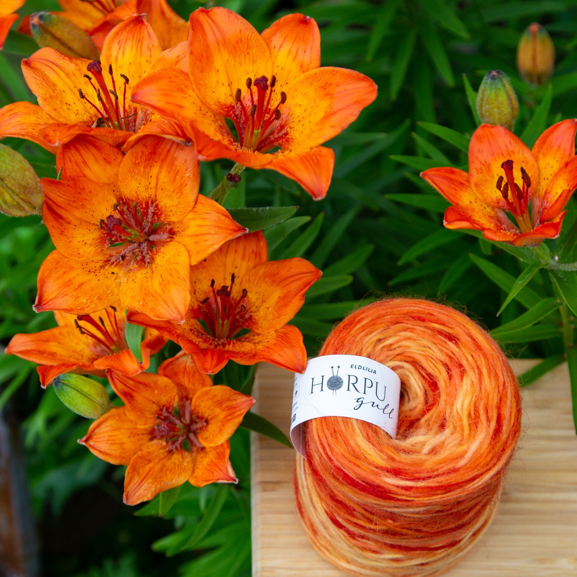 Hand-dyed Icelandic lopi yarn inspired by fire lily shown with bright orange flowers