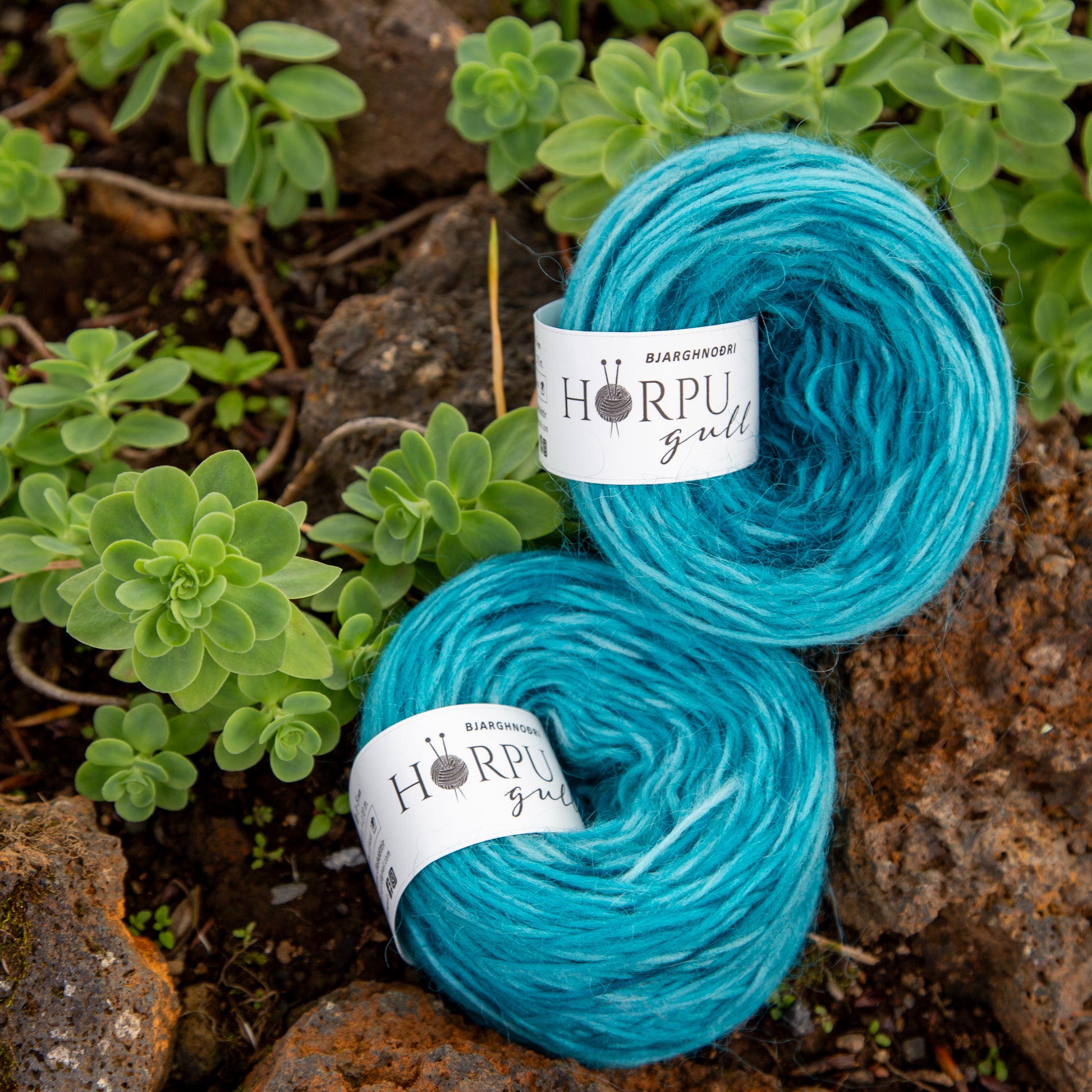 Hand-dyed Icelandic lopi yarn inspired by European stonecrop displayed on volcanic rocks with green plants