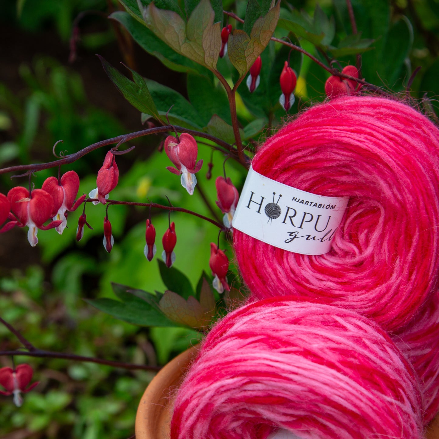 Hand-dyed Icelandic lopi yarn inspired by bleeding heart shown with heart-shaped pink flowers