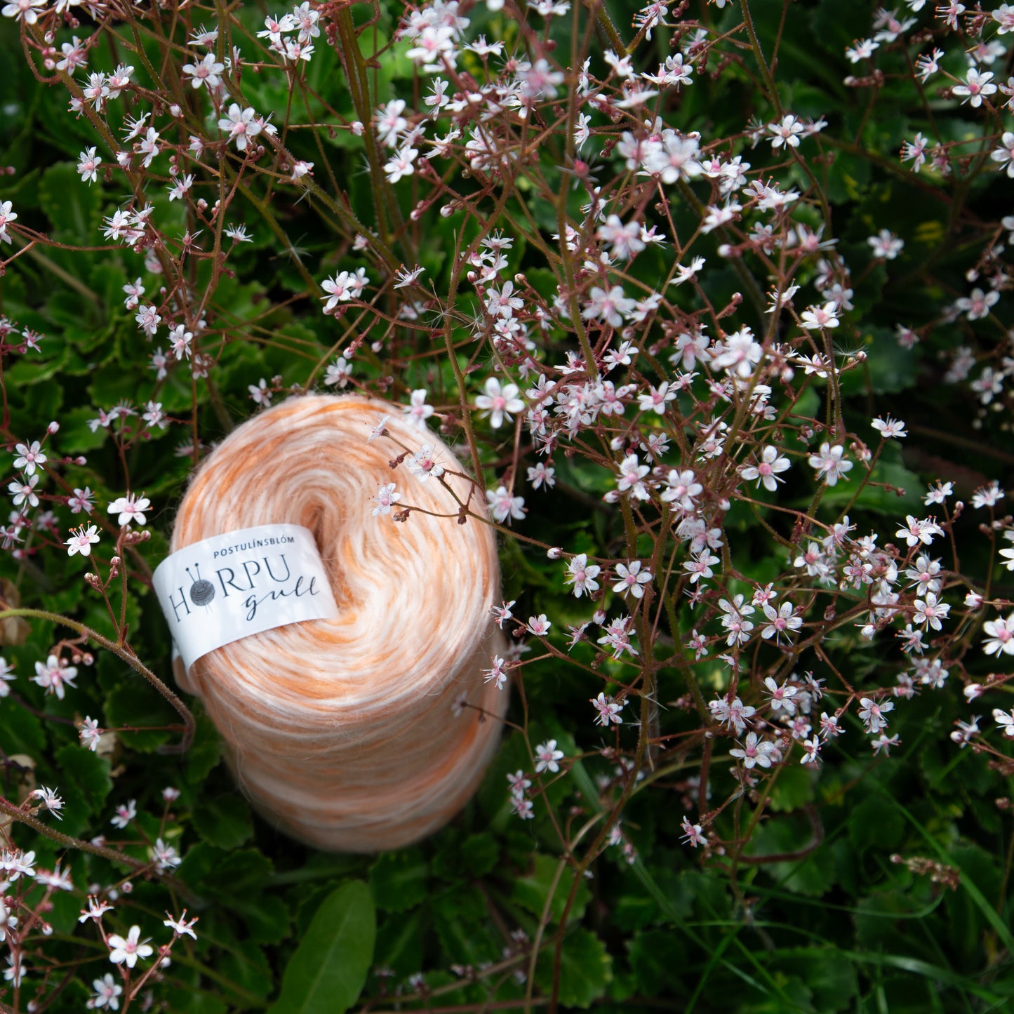 Hand-dyed Icelandic lopi yarn inspired by London Pride shown with delicate pink-white flowers