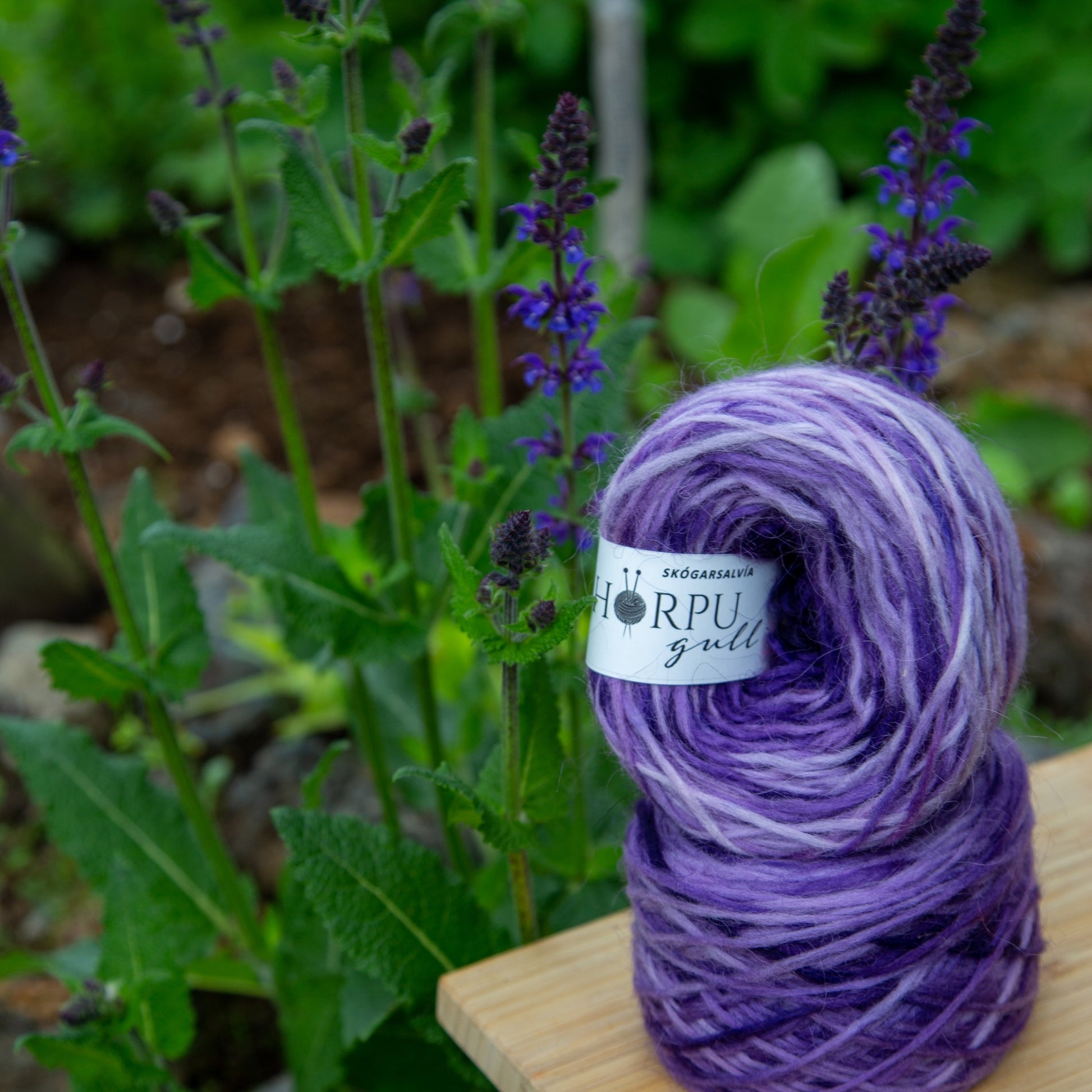 Hand-dyed Icelandic lopi yarn inspired by woodland sage placed next to purple sage flowers