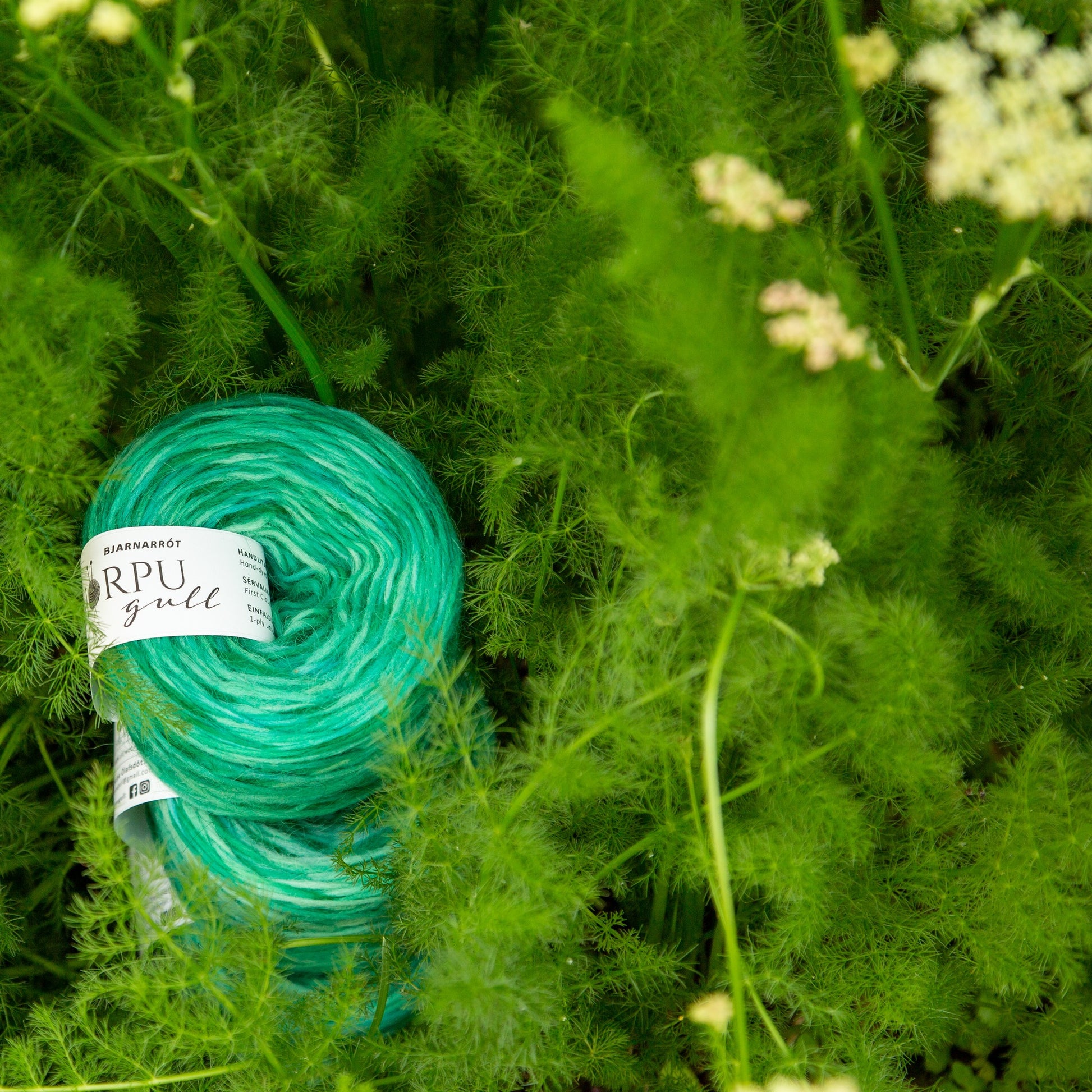 Hand-dyed Icelandic lopi yarn inspired by spignel displayed in natural green foliage